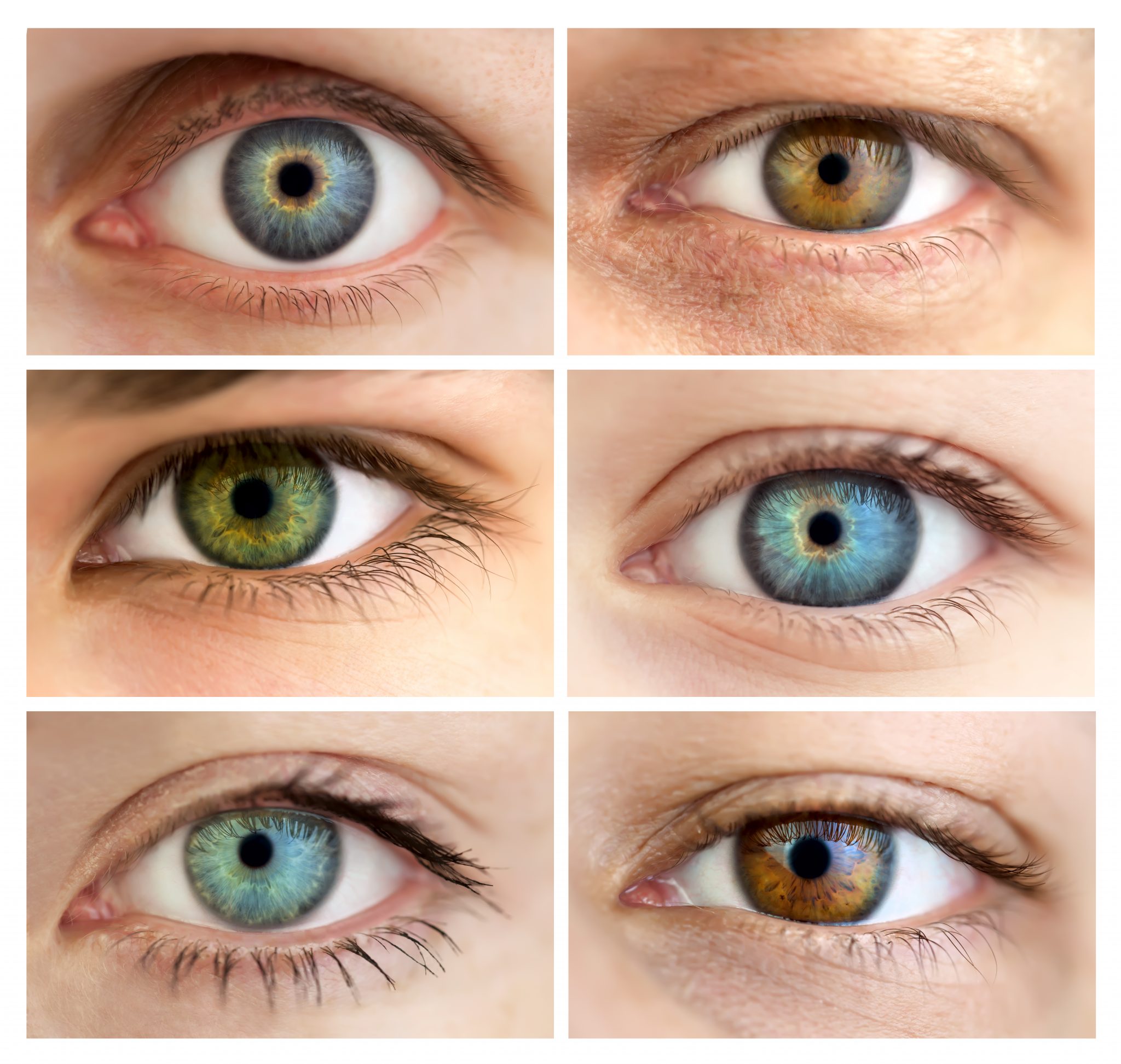 Как красиво назвать глаза. Hazel Green цвет глаз. Цветные линзы гетерохромия. Цвету глаз. Cwet glaz.